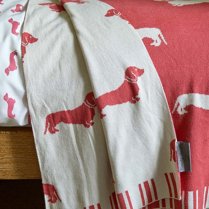 rote Decke mit Dackel