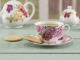 Tasse und Untertasse - Southbourne Rose